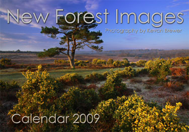 New Forest Images Calendar 2009