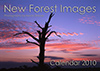 New Forest Images Calendar 2010