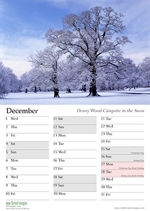 Example month view