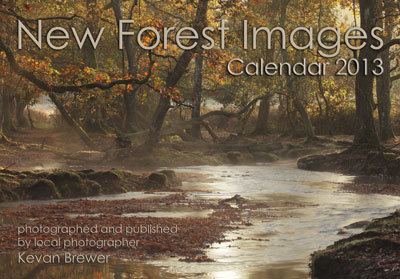 New Forest Images Calendar 2013