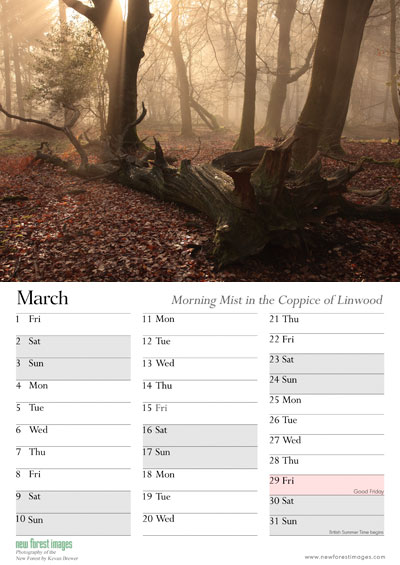 Example month view