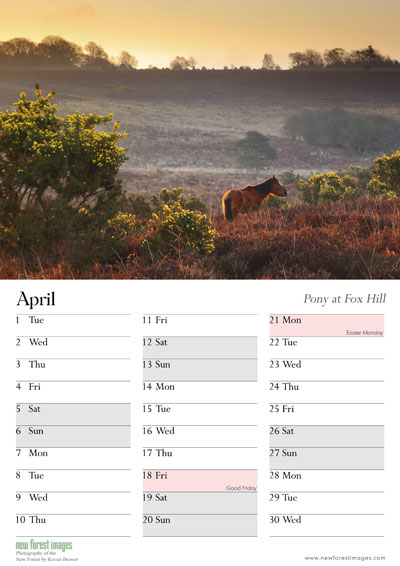 Example month view
