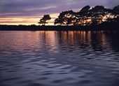 Hatchet Pond at sunset image ref 10054