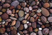 Coloured Pebbles at Budleigh Salterton, Devon image ref 10046