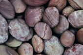Pebbles on Budleigh Salterton beach, Devon image ref 10047