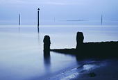 Groyne on Lepe Beach on a calm evening image ref 10007