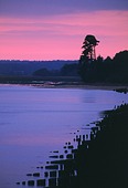 Groynes on Lepe beach image ref 10014