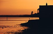 Brent Geese around the Watch House at Lepe image ref 10002
