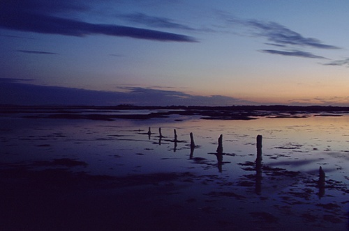 The Sea : Weathered posts at Lepe