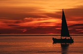 Yacht on the Solent at sunset image ref 10012
